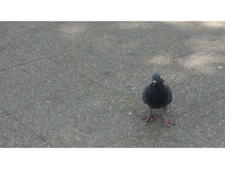 Educación y patrimonio