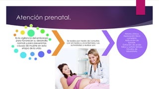 Atención prenatal.
Es la vigilancia del embarazo
para favorecer su desarrollo
normal y para prevenir las
causas de muerte en esta
etapa de la vida.
Se realiza por medio de consultas
con el medico y la enfermera. Las
actividades a realizar son:
Historia clínica.
Exploración física
completa.
Aplicación de
toxoide.
Dotación de acido
fólico y sulfato ferroso.
Estudios de
laboratorio.
 