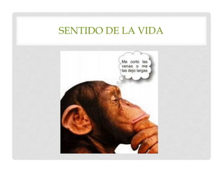 SENTIDO DE LA VIDA
 