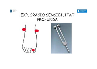 EXPLORACIÓ SENSIBILITAT
PROFUNDA
 