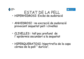 ESTAT DE LA PELL
• HIPERHIDROSI: Excès de sudoració
• ANHIDROSI : no excreció de sudoració
provocant sequetat pell i clivelles
• CLIVELLES : tall poc profund de
l´epidermis secundari a la sequetat
• HIPERQUERATOSI: hipertrofia de la capa
còrnea de la pell “ durícia”.
 