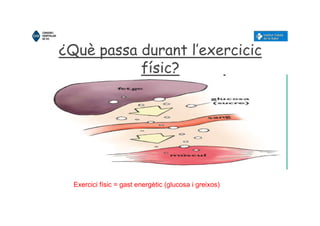 ¿Què passa durant l’exercicic
físic?
Exercici físic = gast energètic (glucosa i greixos)
 