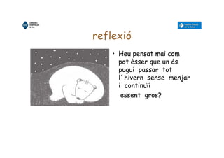 reflexió
• Heu pensat mai com
pot èsser que un ós
pugui passar tot
l´hivern sense menjar
i continuïi
essent gros?
 