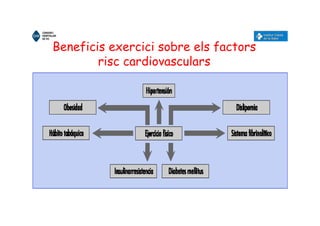 Beneficis exercici sobre els factors
risc cardiovasculars
 