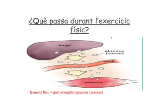 ¿Què passa durant l’exercicic
físic?
Exercici físic = gast energètic (glucosa i greixos)
 