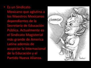 Es un Sindicato Mexicano que aglutina a los Maestros Mexicanos dependientes de la Secretaría de Educación Pública. Actualmente es el Sindicato Magisterial más grande de America Latina además de auspiciar la Internacional de la Educación y el Partido Nueva Alianza. 