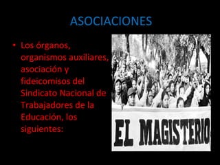 ASOCIACIONES Los órganos, organismos auxiliares, asociación y fideicomisos del Sindicato Nacional de Trabajadores de la Educación, los siguientes: 