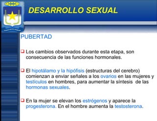 PUBERTAD
 Los cambios observados durante esta etapa, son
consecuencia de las funciones hormonales.
 El hipotálamo y la hipófisis (estructuras del cerebro)
comienzan a enviar señales a los ovarios en las mujeres y
testículos en hombres, para aumentar la síntesis de las
hormonas sexuales.
 En la mujer se elevan los estrógenos y aparece la
progesterona. En el hombre aumenta la testosterona.
DESARROLLO SEXUAL
 