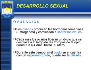 O V U L A C I Ó N
 Los ovarios producen las hormonas femeninas
(Estrógenos) y comienzan a liberar los óvulos.
 Cada mes los ovarios liberan un óvulo que se
desplaza a lo largo de las trompas de falopio
durante 3 a 4 días, hasta el útero.
 Durante este tiempo, si el óvulo se encuentra
con un espermatozoide, puede ser fertilizado.
DESARROLLO SEXUAL
 