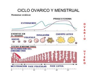 CICLO OVARICO Y MENSTRUAL
O
V
A
R
I
O
U
T
E
R
O
 
