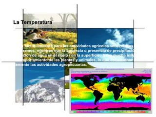 No es un factor limitante para las actividades agrícolas venezolanas aceptó en os paramos, mientras que la ausencia o presencia de precipitación y la acumulación de agua en el suelo i en la superficie,  tiene mucha influencia en el comportamiento de las plantas y animales, lo que condicionan fuertemente las actividades agropecuarias. La  Temperatura 