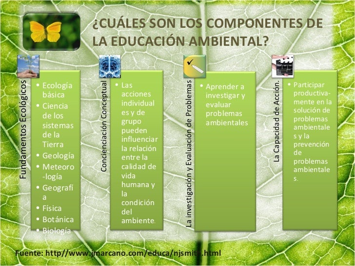 Educacion Ambiental