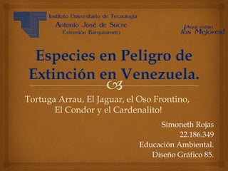 Simoneth Rojas
22.186.349
Educación Ambiental.
Diseño Gráfico 85.
Tortuga Arrau, El Jaguar, el Oso Frontino,
El Condor y el Cardenalito!
 