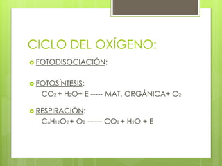 CICLO DEL OXÍGENO:
 FOTODISOCIACIÓN:
 FOTOSÍNTESIS:
CO2 + H2O+ E ----- MAT. ORGÁNICA+ O2
 RESPIRACIÓN:
C6H12O2 + O2 ------ CO2 + H2O + E
 