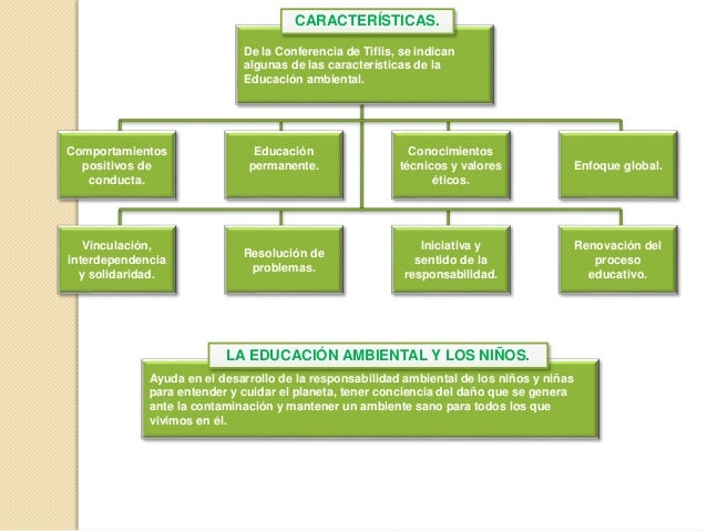 mapa conceptual