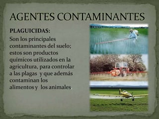 PLAGUICIDAS:
Son los principales
contaminantes del suelo;
estos son productos
químicos utilizados en la
agricultura, para controlar
a las plagas y que además
contaminan los
alimentos y los animales.
 