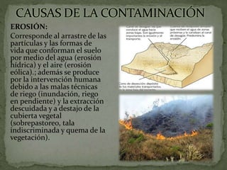 EROSIÓN:
Corresponde al arrastre de las
partículas y las formas de
vida que conforman el suelo
por medio del agua (erosión
hídrica) y el aire (erosión
eólica).; además se produce
por la intervención humana
debido a las malas técnicas
de riego (inundación, riego
en pendiente) y la extracción
descuidada y a destajo de la
cubierta vegetal
(sobrepastoreo, tala
indiscriminada y quema de la
vegetación).
 