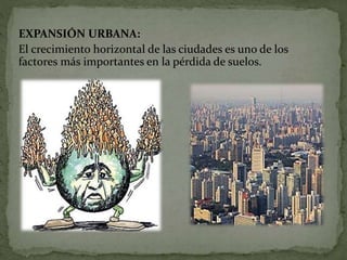 EXPANSIÓN URBANA:
El crecimiento horizontal de las ciudades es uno de los
factores más importantes en la pérdida de suelos.
 