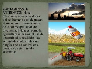 CONTAMINANTE
ANTRÓPICO: Hace
referencias a las actividades
del ser humano que degradan
el suelo como consecuencia
de la sobreexplotación de
diversas actividades, como la
agricultura intensiva, el uso de
determinados pesticidas, las
actividades industriales sin
ningún tipo de control en el
vertido de determinadas
sustancias
 