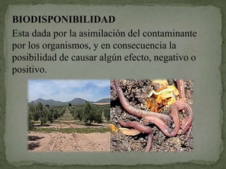 BIODISPONIBILIDAD
Esta dada por la asimilación del contaminante
por los organismos, y en consecuencia la
posibilidad de causar algún efecto, negativo o
positivo.
 