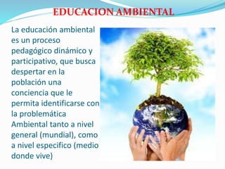 La educación ambiental
es un proceso
pedagógico dinámico y
participativo, que busca
despertar en la
población una
conciencia que le
permita identificarse con
la problemática
Ambiental tanto a nivel
general (mundial), como
a nivel especifico (medio
donde vive)
EDUCACION AMBIENTAL