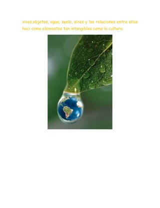 vivos,objetos, agua, suelo, aires y las relaciones entre ellos
haci como elementos tan intangibles como la cultura.
 
