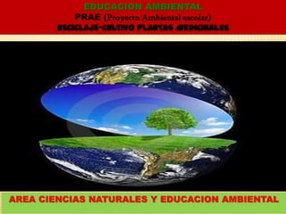 EDUCACION AMBIENTAL
           PRAE (Proyecto Ambiental escolar)
       RECICLAJE-CULTIVO PLANTAS MEDICINALES




AREA CIENCIAS NATURALES Y EDUCACION AMBIENTAL
 