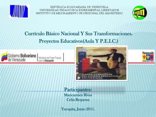 Currículo Básico Nacional Y Sus Transformaciones.
      Proyectos Educativos(Aula Y P.E.I.C.)




                 Participantes:
                 Maricarmen Rivas
                  Celia Requena

                Tucupita, Junio 2011.
 