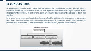 EL CONOCIMIENTO
El conocimiento es la facultad y capacidad que poseen los individuos de pensar, construir ideas o
conceptos abstractos, así como de construir una representación mental de algo o alguien. Previo
al conocimiento científico, el ser humano realiza un conjunto de pensamientos básicos, es decir, más
sencillos.
Es la forma como el ser social capta (aprehende, refleja) los objetos del macrocosmos en su cerebro;
pero no es un reflejo simple, mas bien es complejo porque se entrelazan 3 fases que establecen el
principio de la circularidad. La interrelación se da entre naturaleza, cerebro y fundamentos.
Figura 4: El conocimiento
Nota: recopilación de autores
 