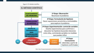 Figura 5: El método científico
Nota: https://mapaconceptualweb.com/metodo-cientifico/
 