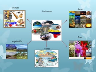 biodiversidad
fauna
flora
clima
vegetación
cultura
 