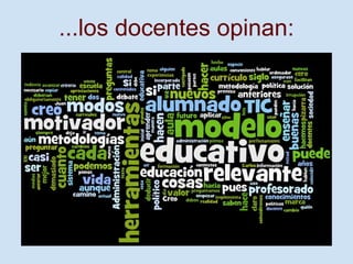 ...los docentes opinan:
 