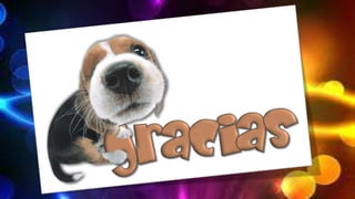 Educacion emocional e inteligencia emocional