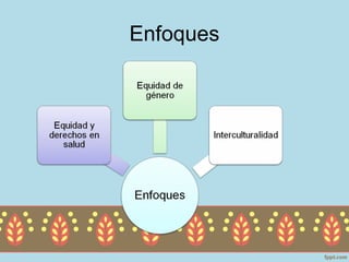Enfoques
 
