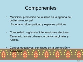 Componentes
•   Municipio: promoción de la salud en la agenda del
    gobierno municipal
     Escenario: Municipalidad y espacios públicos

•   Comunidad: vigilancia/ intervenciones efectivas
    Escenario: zonas urbanas, urbano-marginales y
    rurales.

•   Centros educativos: centrados en la promoción y
    prevención.
 