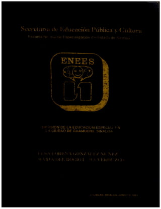 EDUCACION ESPECIAL EN SINALOA.pdf