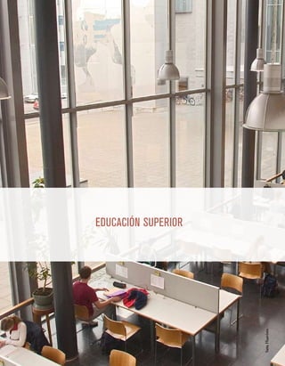 34
SatuHaavisto
EDUCACIÓN SUPERIOR
 