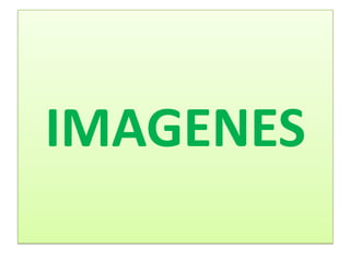 IMAGENES
 