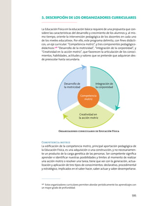 5. DESCRIPCIÓN DE LOS ORGANIZADORES CURRICULARES
La Educación Física en la educación básica requiere de una propuesta que con-
sidere las características del desarrollo y crecimiento de los alumnos y, al mis-
mo tiempo, oriente la intervención pedagógica de los docentes en cada uno
de los niveles educativos. Por ello, este programa delimita, con ﬁnes didácti-
cos, un eje curricular: “Competencia motriz”; y tres componentes pedagógico-
didácticos:258
“Desarrollo de la motricidad”, “Integración de la corporeidad”, y
“Creatividad en la acción motriz”, que favorecen la articulación de los conoci-
mientos, habilidades, actitudes y valores que se pretende que adquieran des-
de preescolar hasta secundaria.
Competencia motriz
La ediﬁcación de la competencia motriz, principal aportación pedagógica de
la Educación Física, es una adquisición o una construcción, y no necesariamen-
te un producto de la carga genética de las personas. Ser competente signiﬁca
aprender e identiﬁcar nuestras posibilidades y límites al momento de realizar
una acción motriz o resolver una tarea; tiene que ver con la generación, actua-
lización y aplicación de tres tipos de conocimientos: declarativo, procedimental
y estratégico, implicados en el saber hacer, saber actuar y saber desempeñarse.
258
Estos organizadores curriculares permiten abordar periódicamente los aprendizajes con
un mayor grado de profundidad.
Desarrollo de
la motricidad
Creatividad en
la acción motriz
Integración de
la corporeidad
Competencia
motriz
Organizadores curriculares de Educación Física
595
 