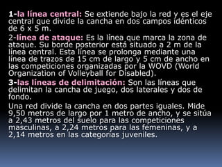 1-la línea central: Se extiende bajo la red y es el eje
central que divide la cancha en dos campos idénticos
de 6 x 5 m.
2-línea de ataque: Es la línea que marca la zona de
ataque. Su borde posterior está situado a 2 m de la
línea central. Esta línea se prolonga mediante una
línea de trazos de 15 cm de largo y 5 cm de ancho en
las competiciones organizadas por la WOVD (World
Organization of Volleyball for Disabled).
3-las líneas de delimitación: Son las líneas que
delimitan la cancha de juego, dos laterales y dos de
fondo.
Una red divide la cancha en dos partes iguales. Mide
9,50 metros de largo por 1 metro de ancho, y se sitúa
a 2,43 metros del suelo para las competiciones
masculinas, a 2,24 metros para las femeninas, y a
2,14 metros en las categorías juveniles.
 