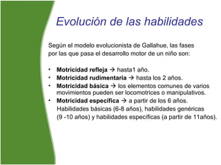 Evolución de las habilidades
Según el modelo evolucionista de Gallahue, las fases
por las que pasa el desarrollo motor de un niño son:
• Motricidad refleja  hasta1 año.
• Motricidad rudimentaria  hasta los 2 años.
• Motricidad básica  los elementos comunes de varios
movimientos pueden ser locomotrices o manipulativos.
• Motricidad específica  a partir de los 6 años.
Habilidades básicas (6-8 años), habilidades genéricas
(9 -10 años) y habilidades específicas (a partir de 11años).
 
