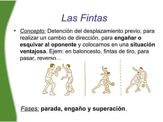 Las Fintas
• Concepto: Detención del desplazamiento previo, para
realizar un cambio de dirección, para engañar o
esquivar al oponente y colocarnos en una situación
ventajosa. Ejem: en baloncesto, fintas de tiro, para
pasar, reverso…
Fases: parada, engaño y superación.
 