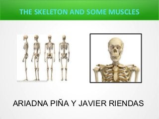 THE SKELETON AND SOME MUSCLES
ARIADNA PIÑA Y JAVIER RIENDAS
 