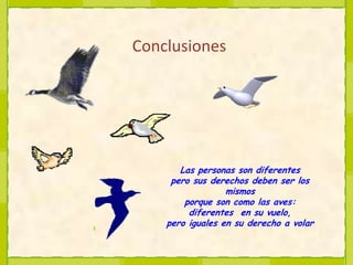 ConclusionesLas personas son diferentespero sus derechos deben ser los mismosporque son como las aves:diferentes  en su vuelo,pero iguales en su derecho a volar