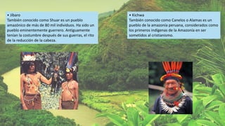 • Jíbaro
También conocido como Shuar es un pueblo
amazónico de más de 80 mil individuos. Ha sido un
pueblo eminentemente guerrero. Antiguamente
tenían la costumbre después de sus guerras, el rito
de la reducción de la cabeza.
• Kichwa
También conocido como Canelos o Alamas es un
pueblo de la amazonía peruana, considerados como
los primeros indígenas de la Amazonía en ser
sometidos al cristianismo.
 