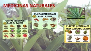 MEDICINAS NATURALES
 