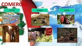 COMERCIO
COSTA SIERRA SELVA
 