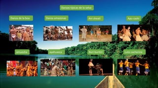 Danzas típicas de la selva
Danza de la boa Danza amazonas Ani sheati Apu cashi
amuesha ayahuasca Buri buritiri Luto cacherine
 
