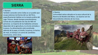 SIERRA
• Aymara
También conocido como Collas es un pueblo que
ocupa extensos territorios del sur del Perú,
específicamente habitan en la meseta andina del
Lago Titicaca, desde tiempos precolombinos.
Consta de una población de más de 400 mil
personas. La mayoría de los hablantes aimaras
dependen de la agricultura, la cría de animales y
la pesca. Su alimentación está constituida
además de la papa, el chuño, la quinua, la harina
de maíz, el charqui y la carne de camélidos
americanos, entre otros.
• Queros
Comunidad nativa ubicada en la zona cultural de la
Reserva de Biosfera del Manu. Los Queros son los
descendientes directos de los Incas.
 