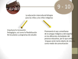 Educacion intercultural bilingue